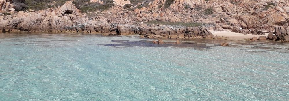 Visita Spargi con Sea life sardinia con un escursione in gommone privata